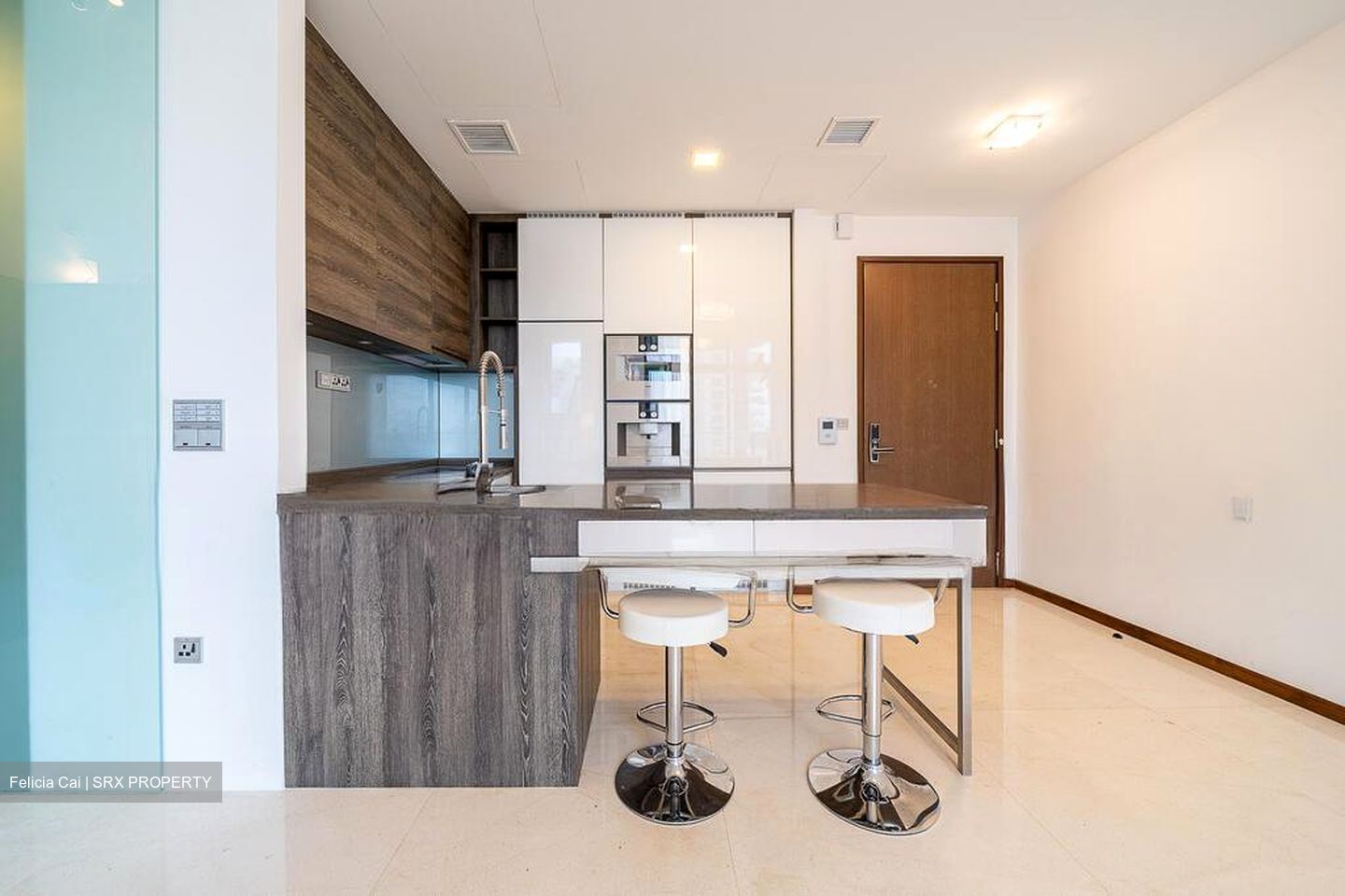 The Scotts Tower (D9), Condominium #518965951
